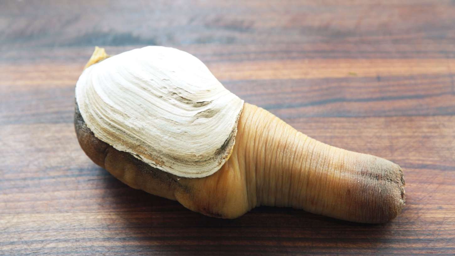 These ladies tried the “penis” clam