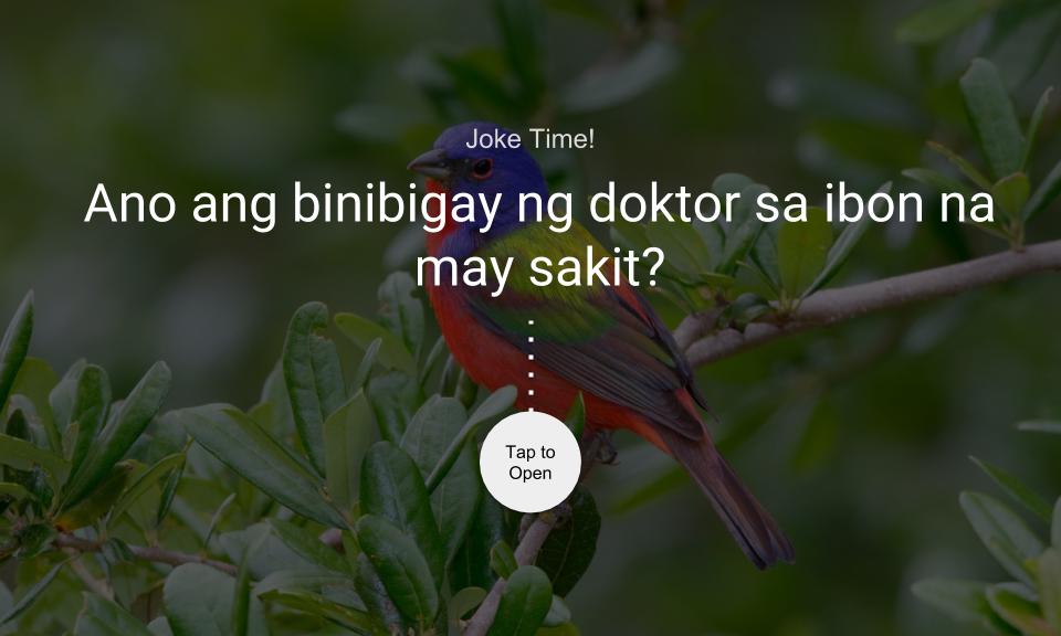 Ano ang binibigay ng doktor sa ibon na may sakit?