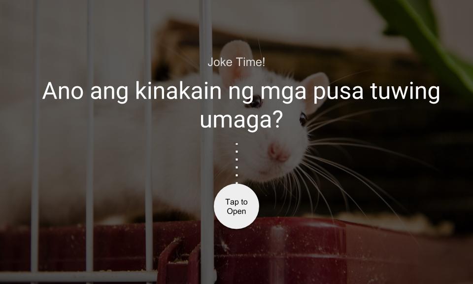 Ano ang kinakain ng mga pusa tuwing umaga?