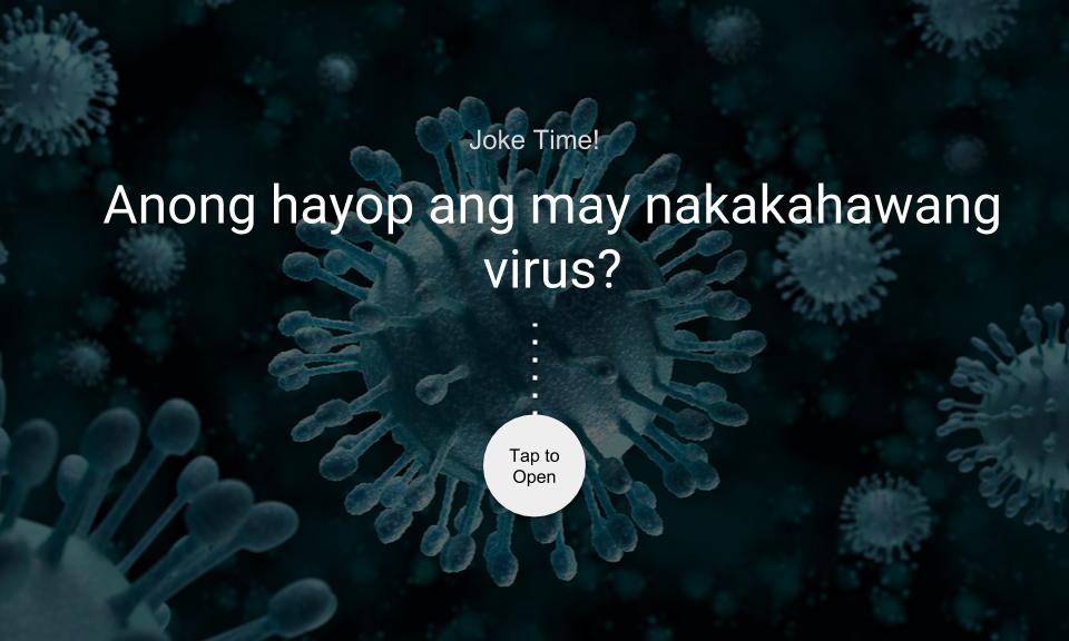 Anong hayop ang may nakakahawang virus?