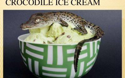 Did somebody say Crocodile Ice Cream?