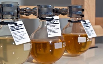 Disgusting But True: This Whisky Is Made From Human Urine